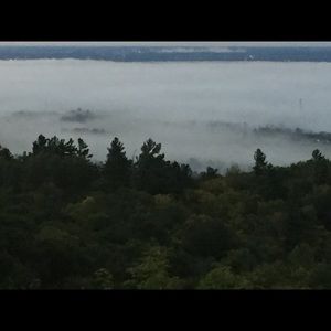 Meet your Posher, Nicholas